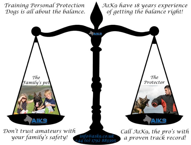 A1K9s Balance Scale