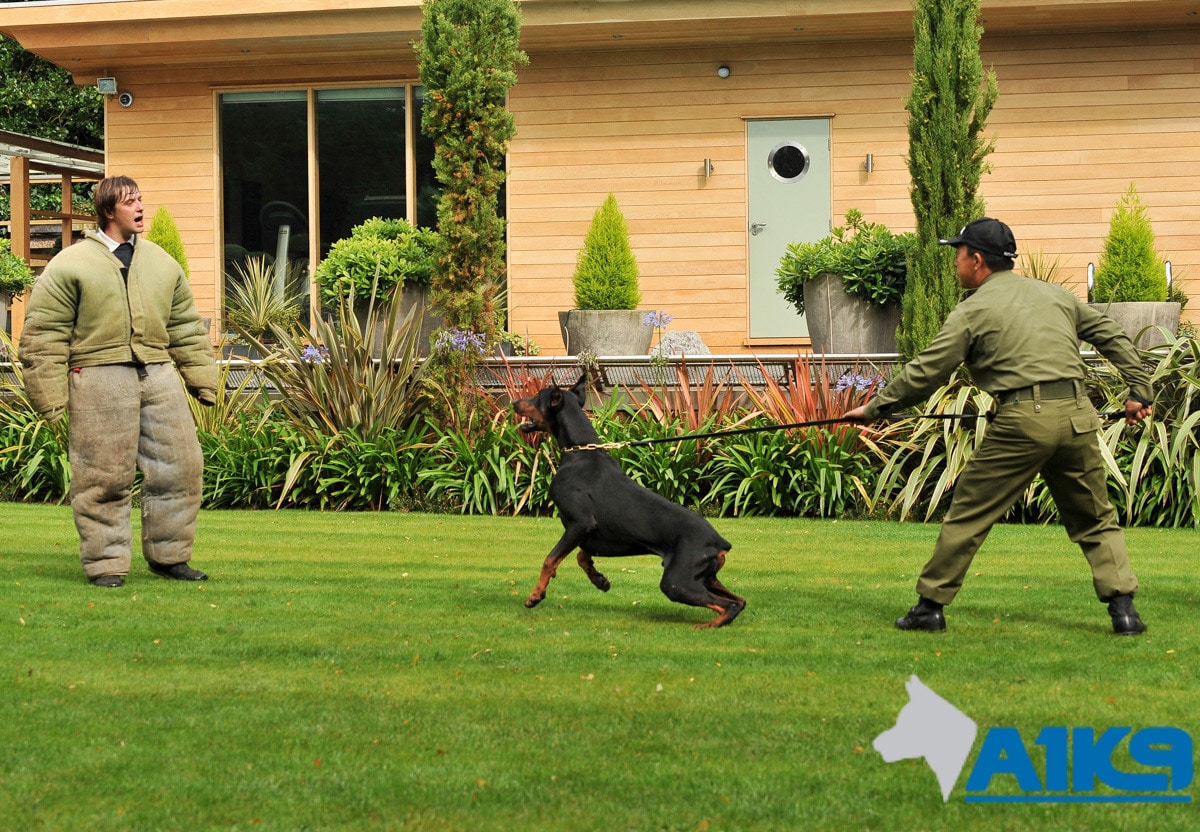 A1K9 Security Handler Training