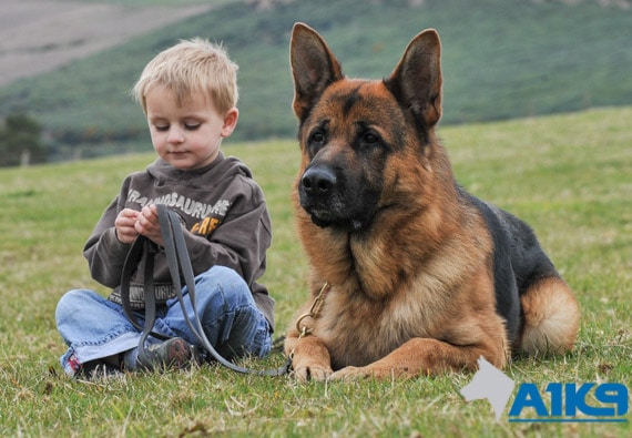 A1K9 Dog and Child