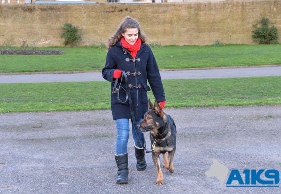 A1K9 Family Protection Handover