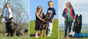 Family Protection Dogs Good With Children