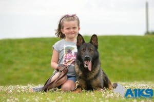 A1K9 Protection Dog With Child