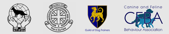 A1K9 Accreditations Professional Dog Trainers