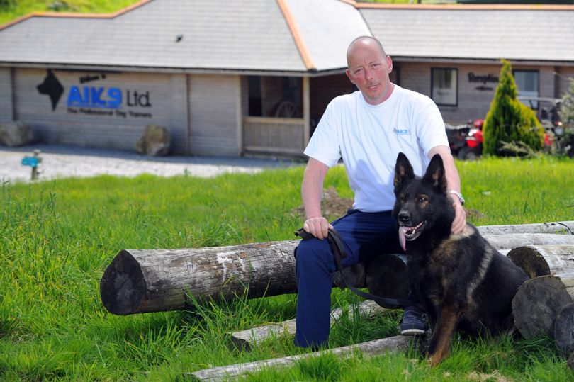 A1K9 Director With Protection Dog