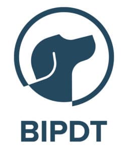 BIPDT Logo