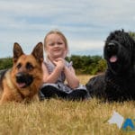 Trained Obedience and Protection Dogs with Child