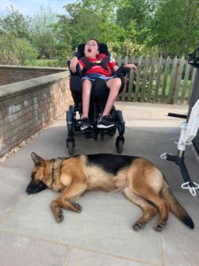 A1K9 Personal Protection Dog Honey Lying by Wheelchair
